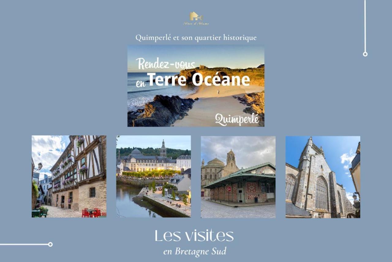 Le Tiguidou, Cosy, Lumineux, 2-6 Pers, Plage 300M Moëlan-sur-Mer Exterior foto